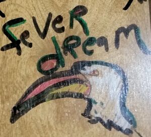 Fever Dreams cover