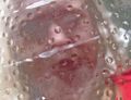 Thumbnail for version as of 15:20, 17 September 2013