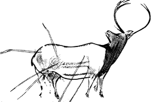 Cave Paintings cover