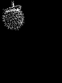 Thumbnail for version as of 22:40, 26 March 2007