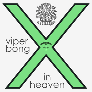 Viper Bong in heaven cover